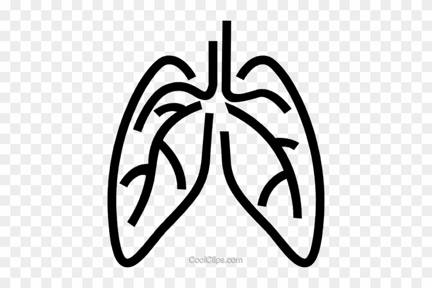 Human Lungs Royalty Free Vector Clip Art Illustration - Lungs Clipart Png #953489