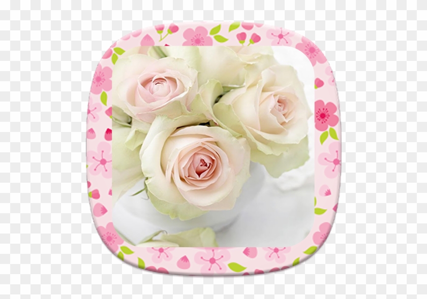 White Rose Flower - White Rose With Pearl #953858