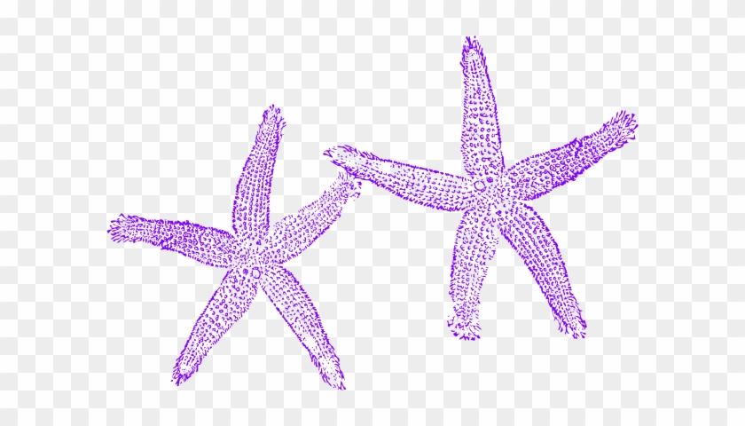 Starfish Clipart Three - Beach Wedding Welcome Bag #953919