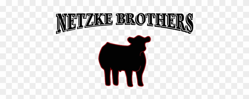 Netzke Brothers Cattle Winners - Show Cattle Clip Art #953983