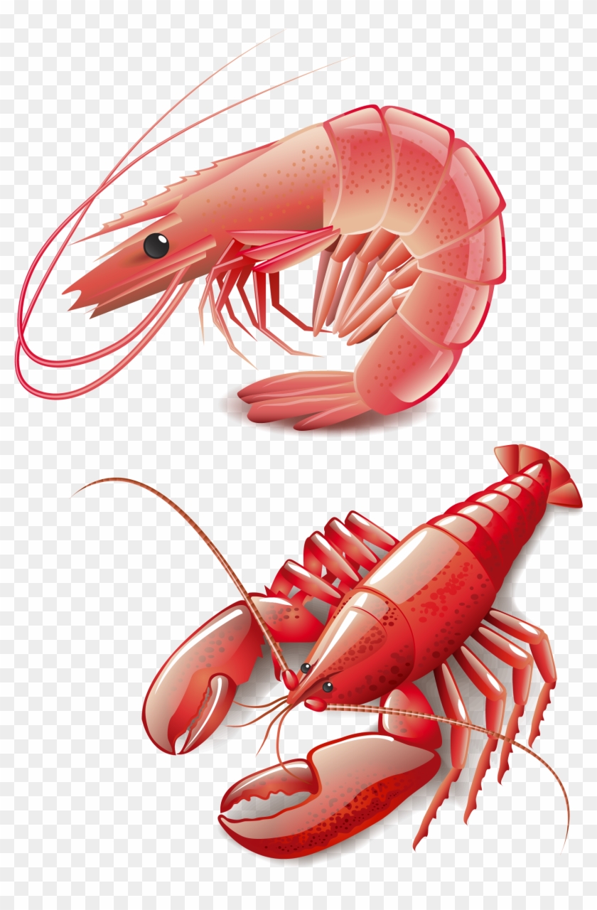 Seafood Homarus Cooking Red Lobster Clip Art - Vector Graphics #954003