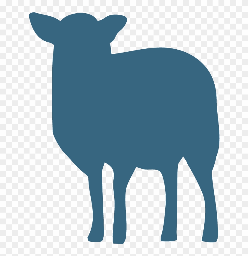 Sheep #954049