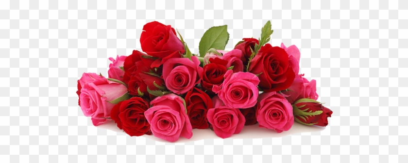 Creative Flowers By Amodio's Is A Full Service Flower - Pink And Red Roses #954216