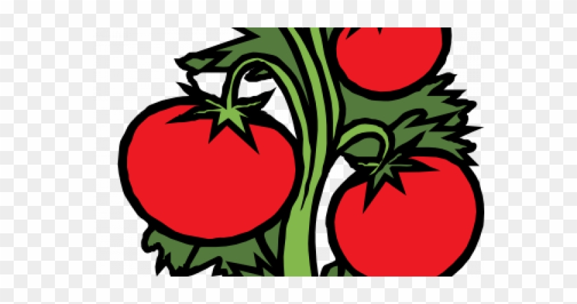 Gravel Plant Clip Art Drawing - Cherry Tomato Vine Clip Art #954487