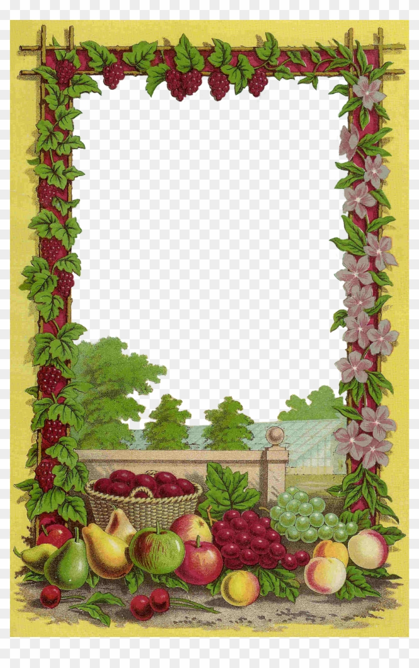 Borders/frames - Fruits Borders And Frames #954920