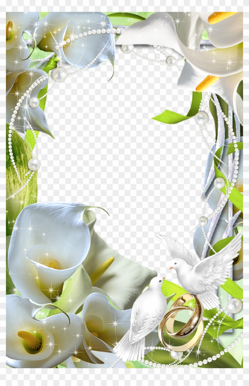 Beautiful - Beautiful Transparent Flower Frame #955017