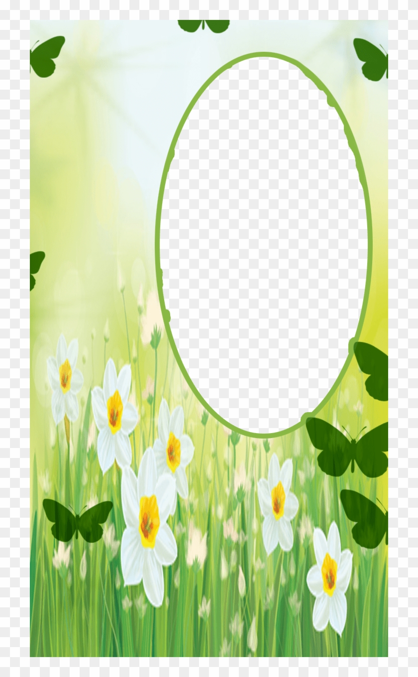 Flower - Free Transparent PNG Clipart Images Download