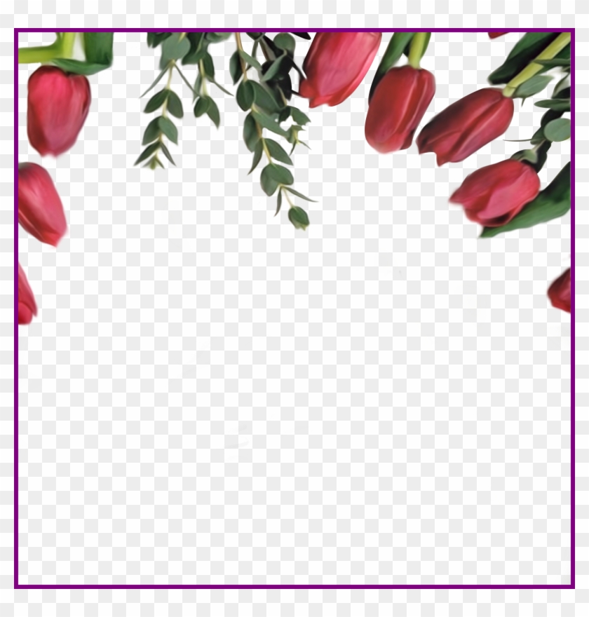 Appealing Red Tulips Border On Transparent Background - Fritillaria #955101