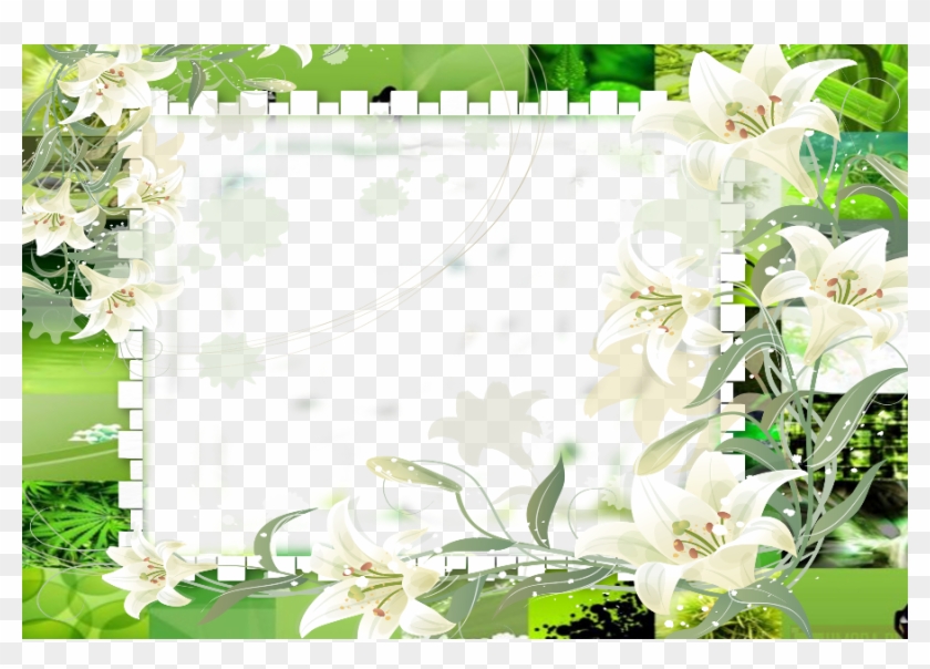 Flowers Photos Frames - Peer Alauddin Siddiqui #955113