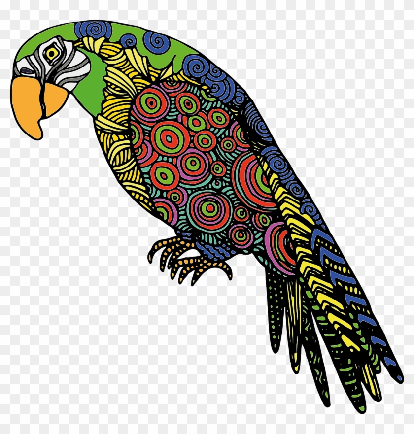 Parrot Bird Colored Drawing Png Image - Parrot Svg #955200