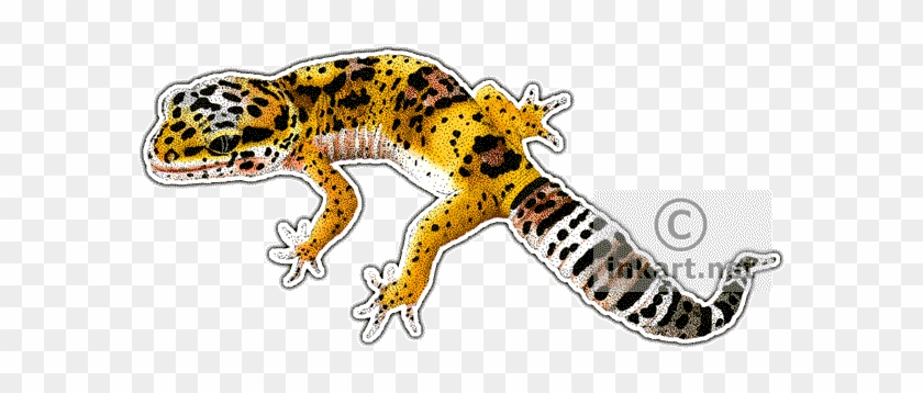 Leopard Gecko Clipart Drawing - Leopard Gecko Note Cards (pk Of 10) #955273