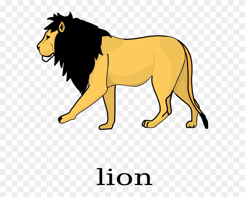 Lion Line Drawing - Free Transparent PNG Clipart Images Download Lion Line Drawing - Free Transparent PNG Clipart Images Download