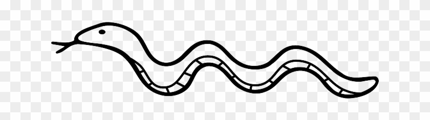 Snake, Reptile, Lizard, Nature, Serpent, Adam And Eve - Outline Of A Snake #955432