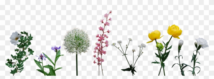 Purple Corner Flower Clip Art Download - Art #955455