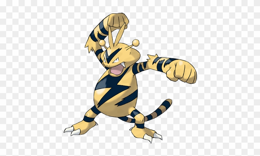 When A Storm Arrives, Gangs Of This Pokémon Compete - Pokemon Electabuzz #955557