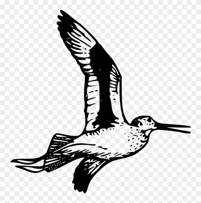 Easy Cancel Anytime - Easy Cancel Anytime #955596