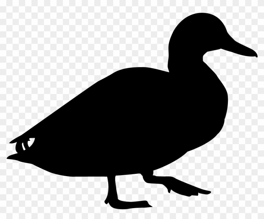 Duck Clipart Wood Duck - Duck Black And White #955692