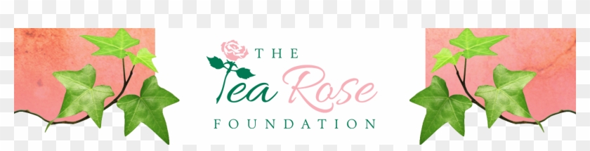 The Tea Rose Foundation Was Established In 2012 And - Omega #955712