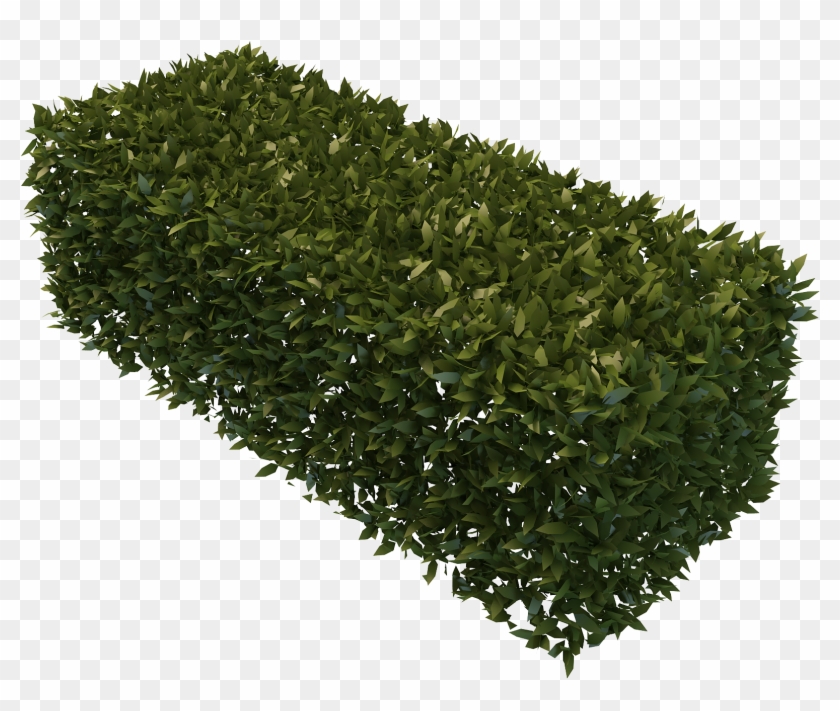 Hedge 3d Modeling Fence Box - 3d Hedge Png #955855