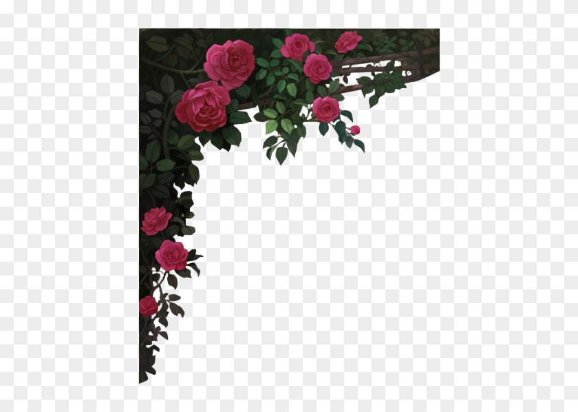 Red Wine Garden Roses Rosé Picture Frame - Mysterious Border #955889