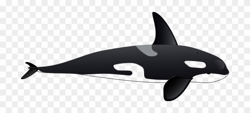 Sperm Whale Clipart Bclipart Free Clipart Images Ol3btp - Killer Whale Clipart #956266