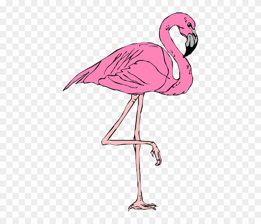 Mixed Genre Fiction Reviews - Flamingo Clipart #956595