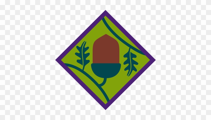 Young - Scout Young Leader Badges #957039