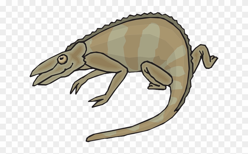 Brown, Cartoon, Colors, Chameleon, Walking - Clip Art #957197