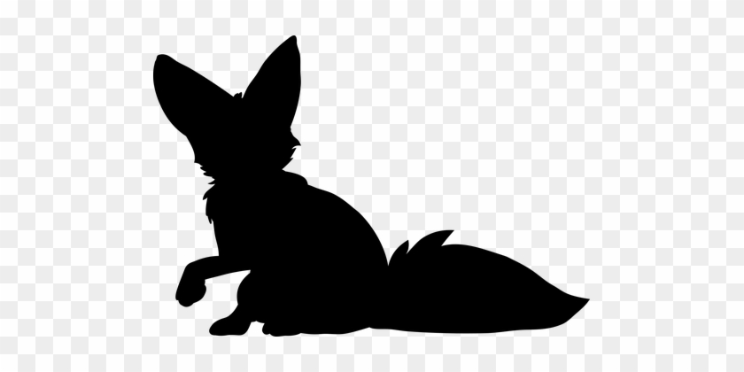 Fox, Fenek, Desert Fox, From, Nature - Fox Silhouette #957235