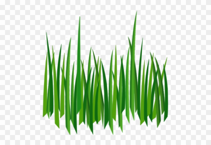 Photos Grass Clipart Images - Grass Texture Png #957901