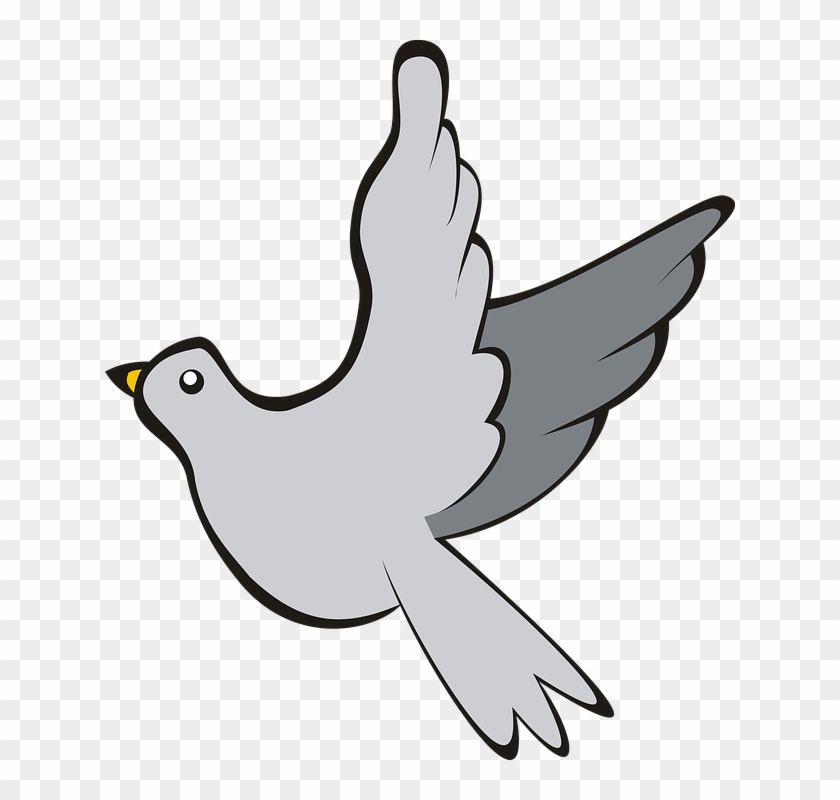 Bird, Pigeon, Flight, Sky, Grey, Adobe, Adobe Photoshop - Clip Art #957970