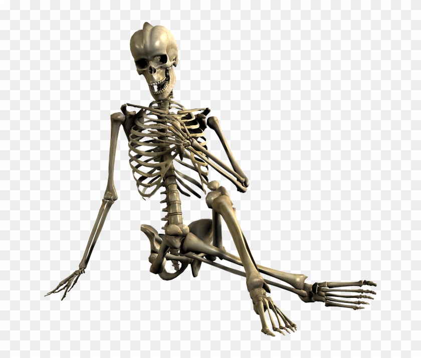 Skeleton, Sitting, Skull, Bones - Skeleton, Sitting, Skull, Bones #958034