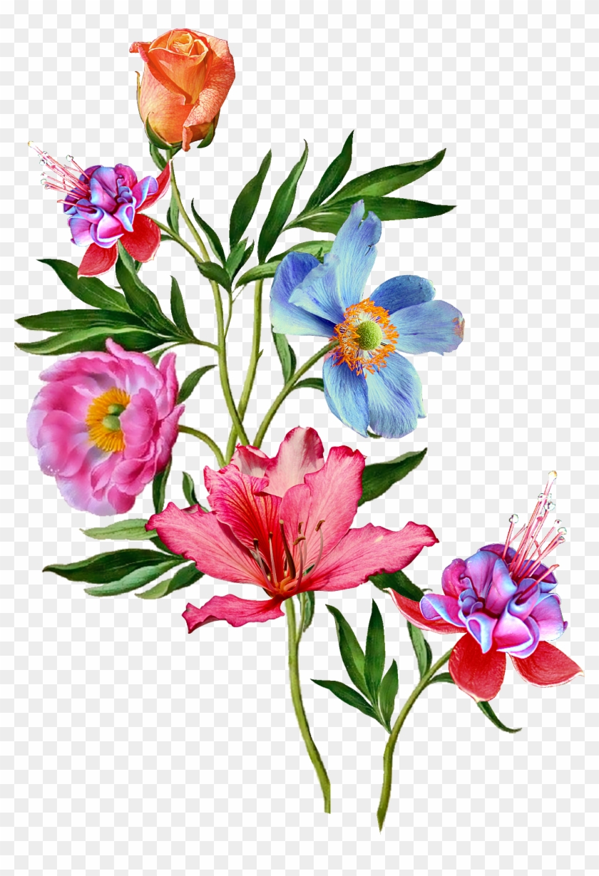 Vector Flowers, Flower Wallpaper, Colour Inspiration, - Ornamental Plant #958108