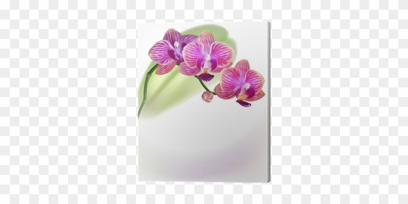 Vector Realistic Purlpe Orchid Flower Canvas Print - Drawing #958176