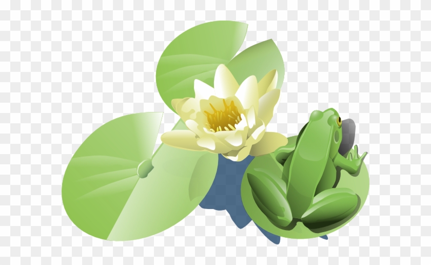 Lily Pad Clip Art #958683