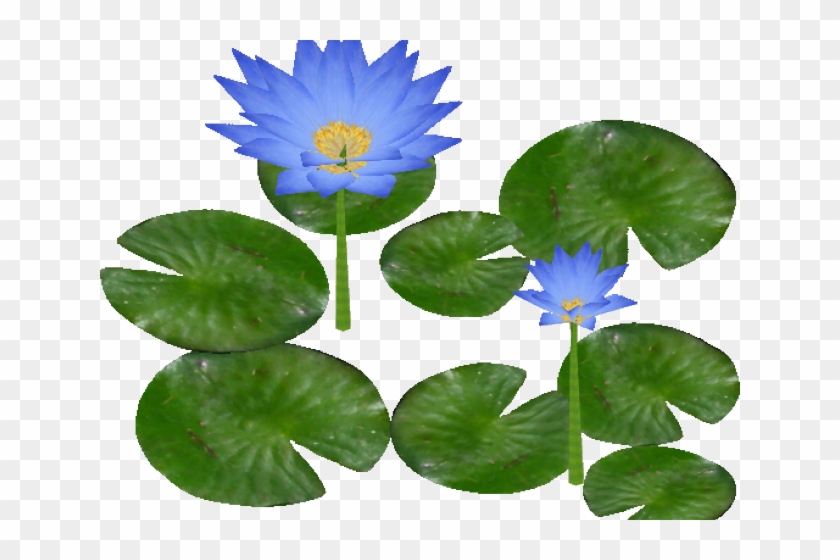 Water Lily Clipart - Waterlily Png #958705