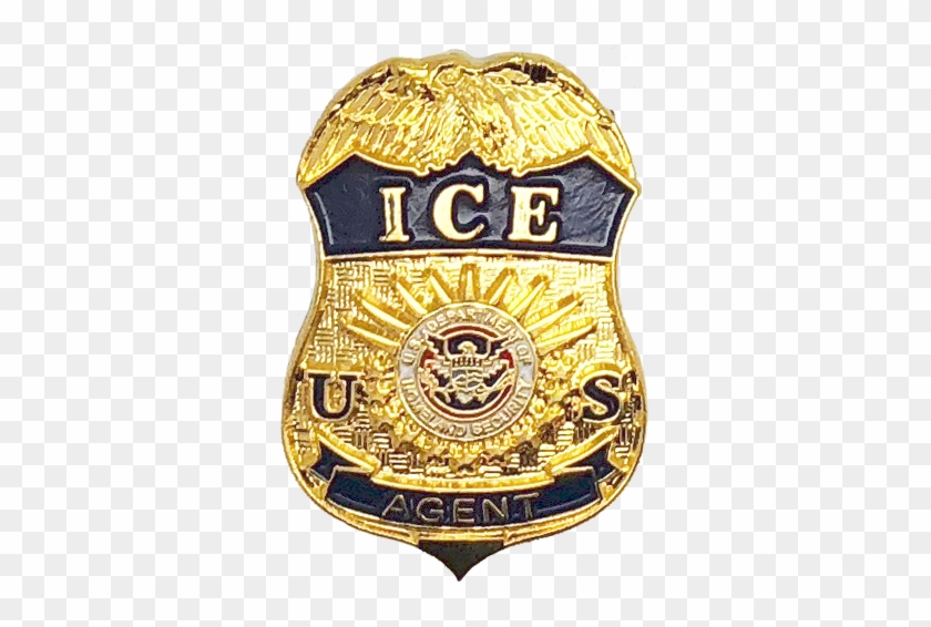 Department Of Homeland Security Immigration And Customs - Federal Protective Service Badge #958719