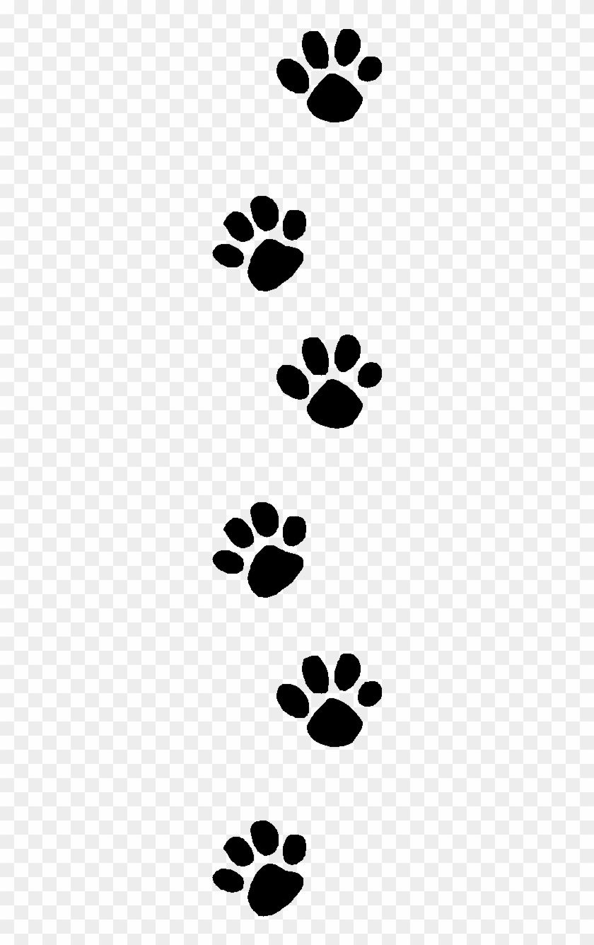 Vet - Transparent Paw Print Clip Art #958727