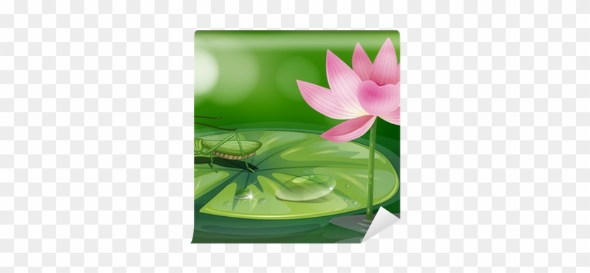 Pembe Bir Çiçeğin Yanında Waterlily Üzerinde Bir Çekirge - Illustration Of A Frog Above The Wat Greeting Card #958769