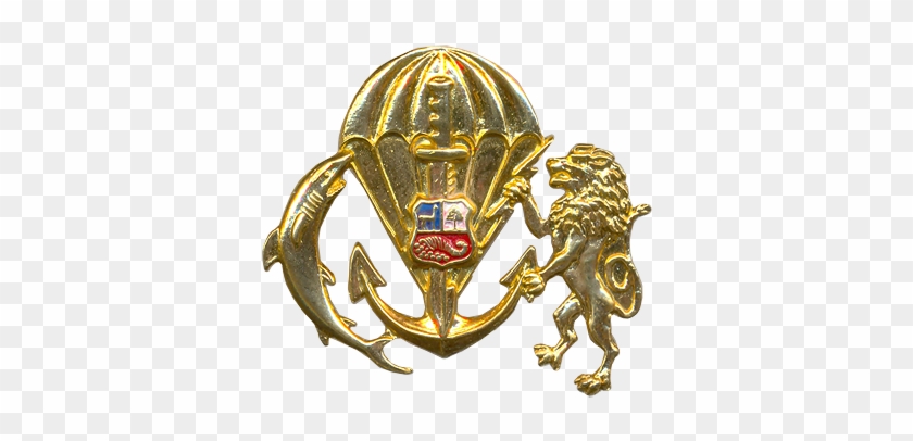 2010 Commando Qualification Badge - Emblem #958807