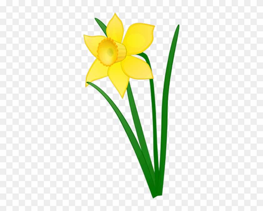 Czeshop Images Daffodil Flower Clip Art - Daffodi #958847