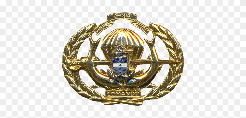 Amphibious Commando Beret Badge - Badge #958859