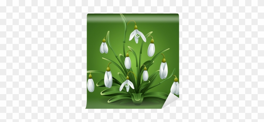 Vector Graphics #958867