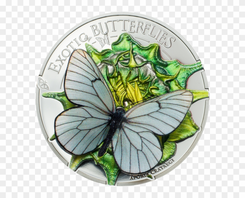 Butterflies In 3d - Dream Edition Mariposa Sueno 3d Coin #958908