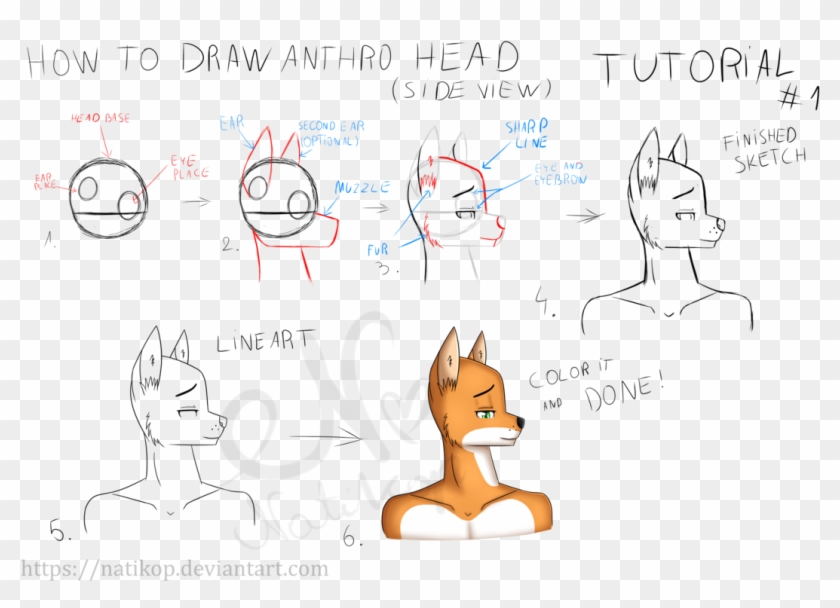 How To Draw Anthro Head [tutorial - Tutorial #959139