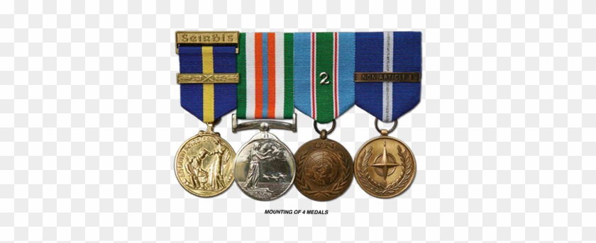 Mounted Medals - Irish Defence Forces Medals #959422