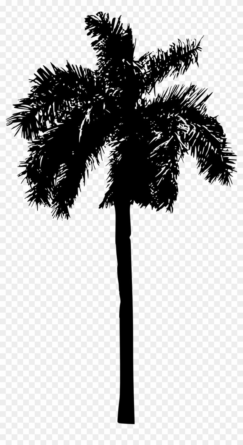 Report Abuse - Palm Tree Silhouette Png #959492