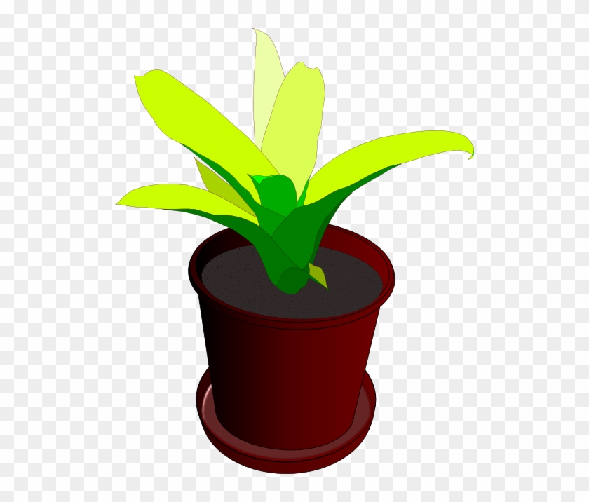 Bromeliad In A Pot Clipart - Vaso De Planta Desenho #959506