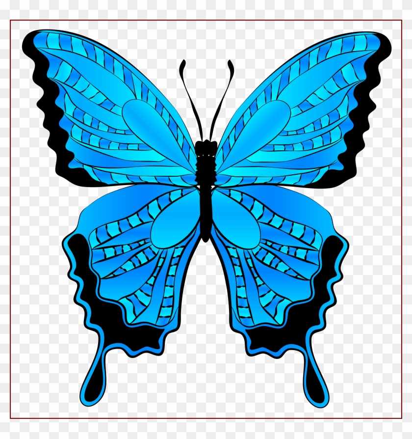 Awesome Blue Butterfly Clipart Image Png Of Hd Styles - Butterfly Clip Art Blue #959554