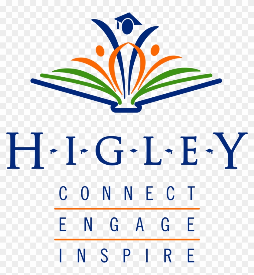 Higley Unified School District #960366